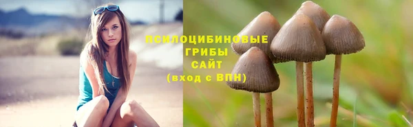 кокс Козельск