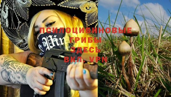 мяу мяу мука Козловка