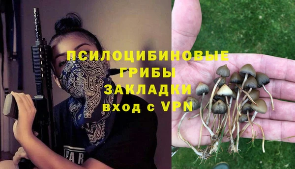 кокс Козельск